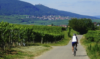 Le Pacte pour les Ruralités : deux ans de transformation au cœur du Grand Est