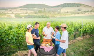 Les viticulteurs de l’AOC Moselle, de l’IGP Côtes de Meuse et de l’AOC Côtes de Toul, réveillent les Vins de Lorraine