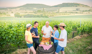Les viticulteurs de l’AOC Moselle, de l’IGP Côtes de Meuse et de l’AOC Côtes de Toul, réveillent les Vins de Lorraine