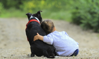 Risques pour les enfants dans un contexte de maltraitances animales commises par leurs parents