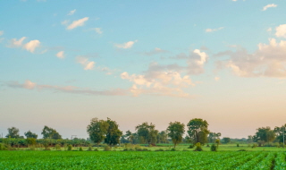 Un nouveau plan pour l’agriculture bio